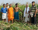 Udupi: Kunjarugiri Balagar donates 6 truckloads of podder to Neelavar cow-shelter